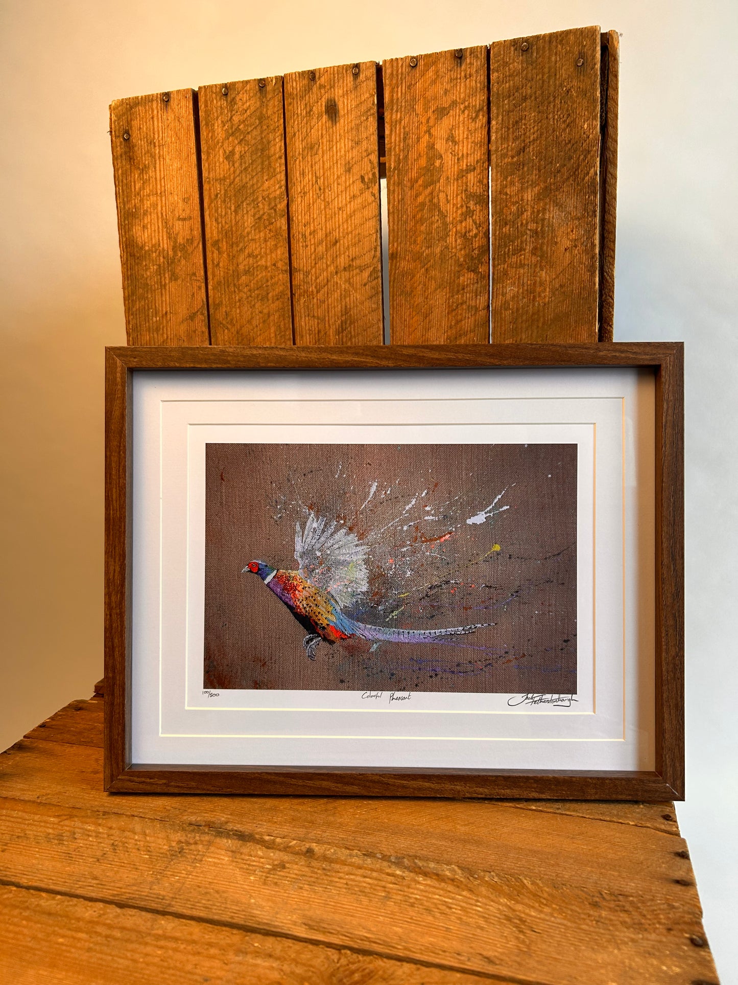 Colourful Pheasant Print