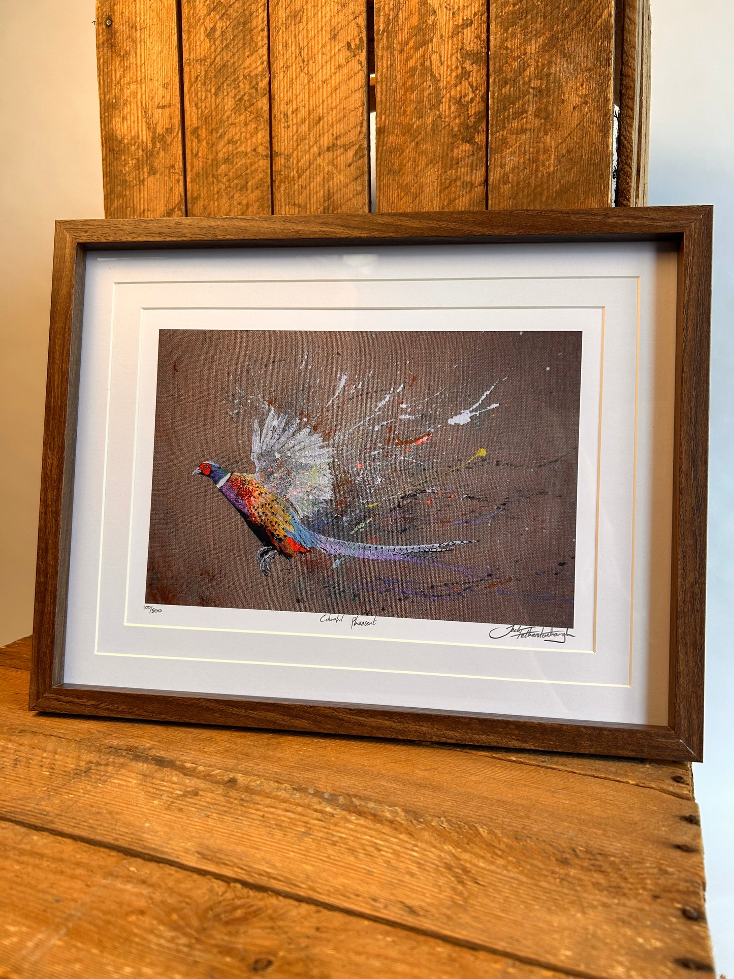 Colourful Pheasant Print