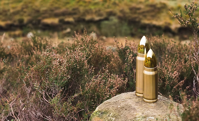 Bullet Flask