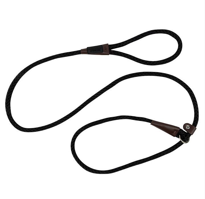 Traditional Dog Slip Lead
