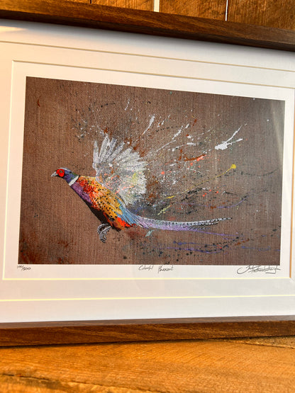 Colourful Pheasant Print