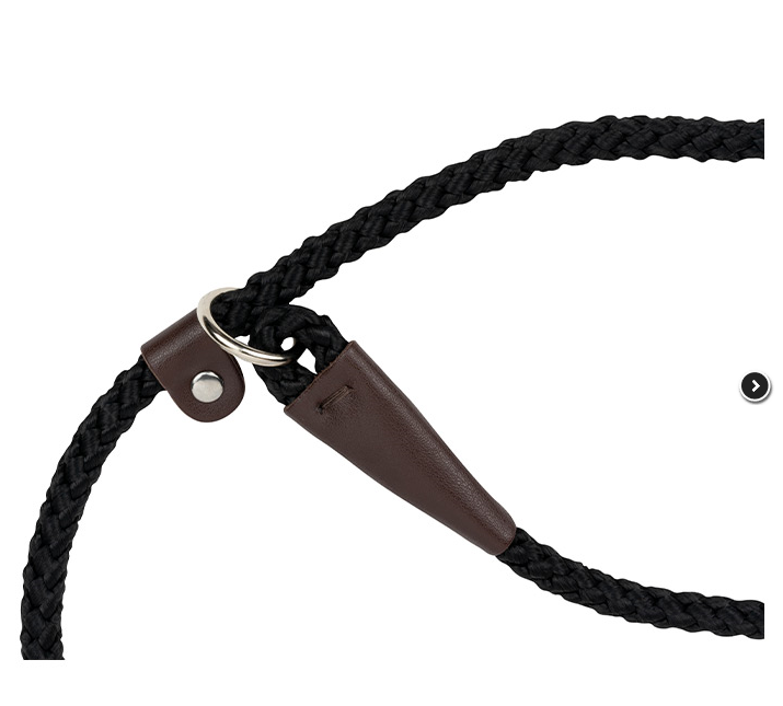 Traditional Dog Slip Lead