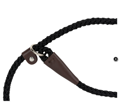 Traditional Dog Slip Lead